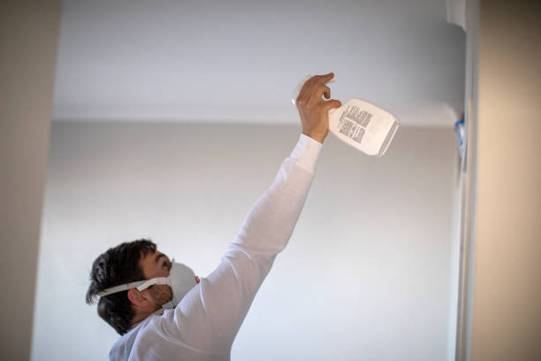 Best Black Mold Remediation in Addison, IL