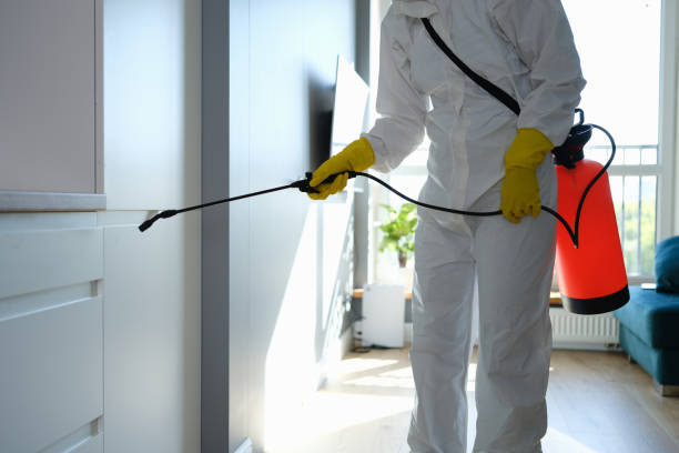 Best Mold Testing and Inspection Services in Addison, IL